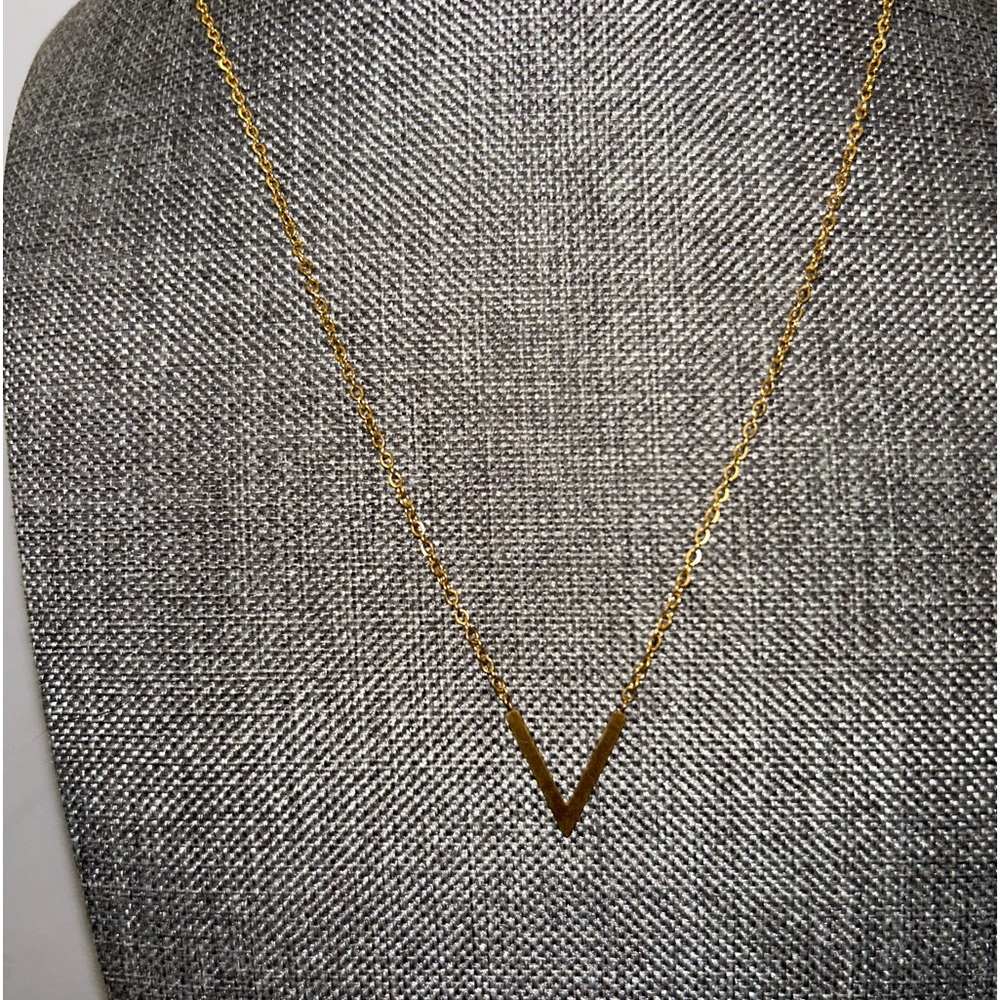 V Necklace NWOT
